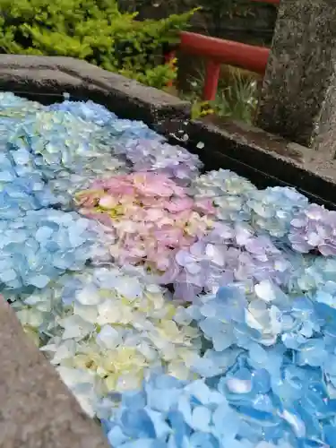 間々田八幡宮の手水舎