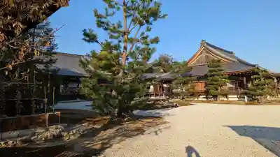 大覚寺(京都府)