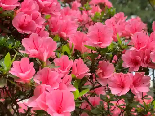 岡登霊神社(群馬県)