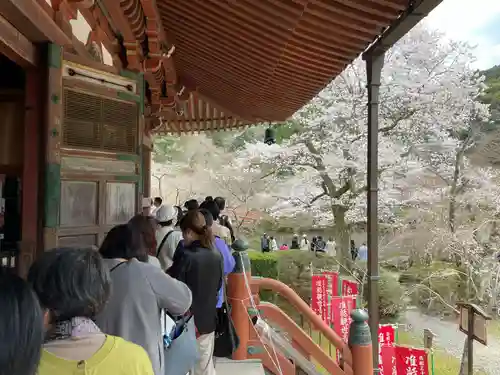 醍醐寺(京都府)