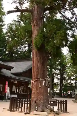 穂高神社本宮(長野県)
