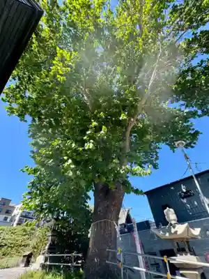 龍宮神社(北海道)