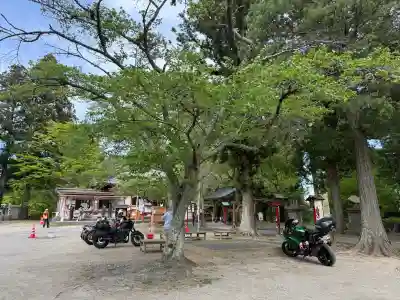 正一位 若草稲荷神社の{uncategorized: "未分類", other: "その他", undefined: "問題あり", building: "その他建物", grave: "お墓", sacred_gate: "鳥居", guardian: "狛犬", statue: "像", buddha: "仏像", history: "歴史", nature: "自然", garden: "庭園", animal: "動物", pagoda: "塔", temizu: "手水舎", mountain_gate: "山門・神門", sanctuary: "本殿・本堂", subordinate: "末社・摂社", art: "芸術", scenery: "景色", jizo: "地蔵", ema: "絵馬", goshuin: "御朱印", omikuji: "おみくじ", items: "授与品その他", amulet: "お守り", goshuincho: "御朱印帳", eats: "食事", festival: "お祭り", votive_dance: "神楽", shichigosan: "七五三参", wedding: "結婚式", experience: "体験その他", initially: "初詣", around: "周辺", anti_infection: "感染症対策"}