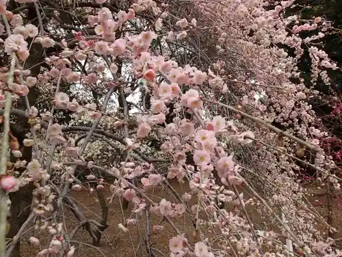 道明寺天満宮の庭園