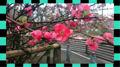 冠稲荷神社(群馬県)