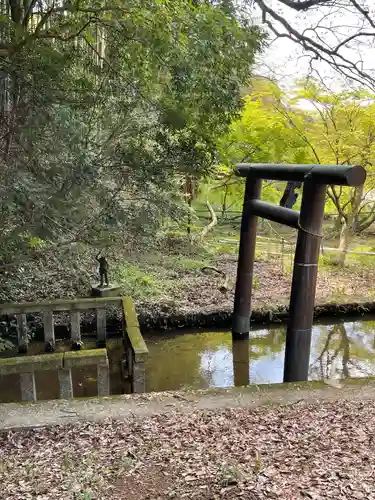 夜刀神社(愛宕神社境内社)の庭園