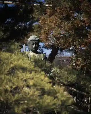 甲斐善光寺(山梨県)