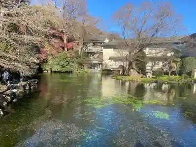 富士山本宮浅間大社(静岡県)