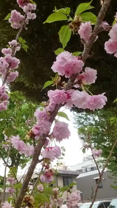 蛇窪神社(東京都)