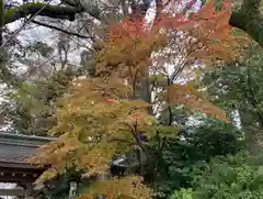 比々多神社の自然