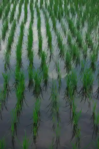 手力雄神社の周辺