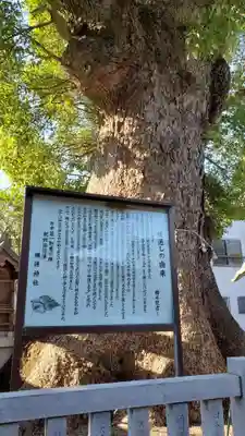 蟻通神社(和歌山県)