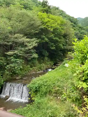 大山阿夫利神社の自然