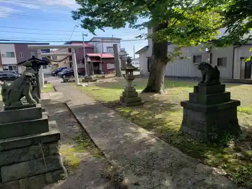 白山神社の狛犬