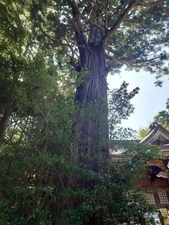 艫神社(茨城県)