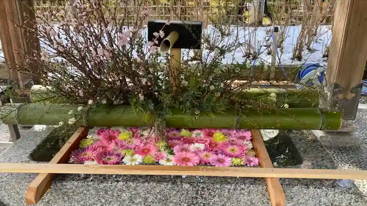 白山神社(新潟県)