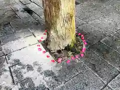 八幡朝見神社の建物その他