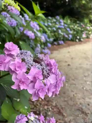 稲荷神社(愛知県)