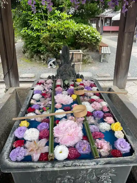 柳谷観音 楊谷寺(京都府)
