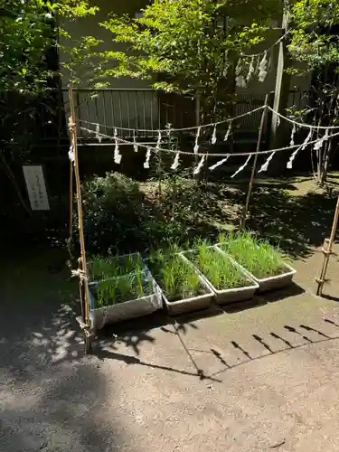 氷川女體神社(埼玉県)