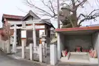 安閑神社(今津町浜分)(滋賀県)