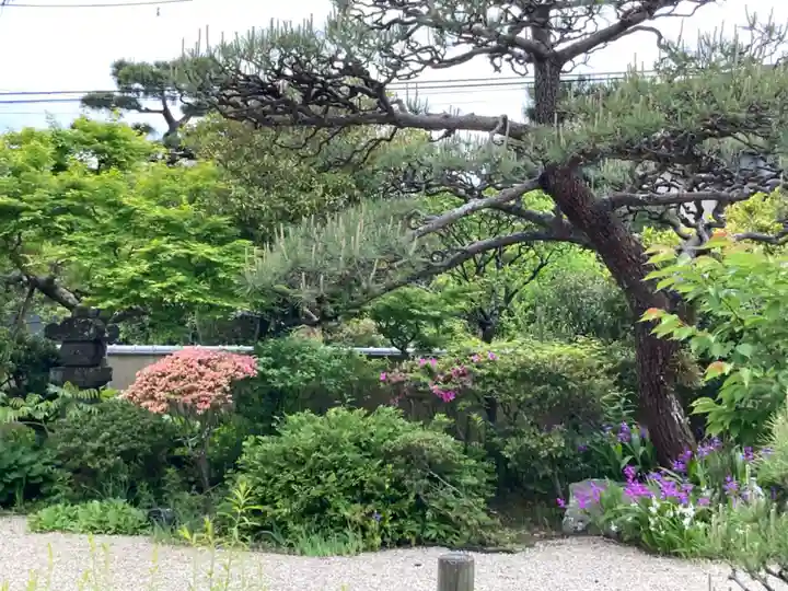教恩寺(神奈川県)