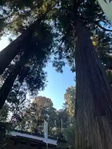 大宮温泉神社(栃木県)(2023年02月23日(木) 07時59分47秒投稿)