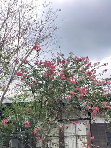 常陸二ノ宮　静神社(茨城県)