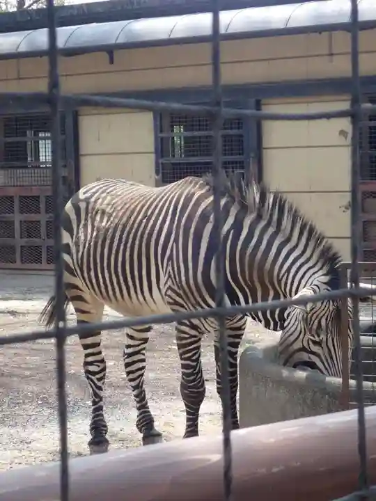 天照皇大神(神奈川県)