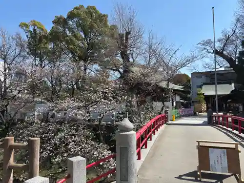 松戸神社(千葉県)