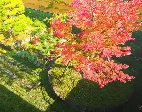 寿量山　速成寺の景色