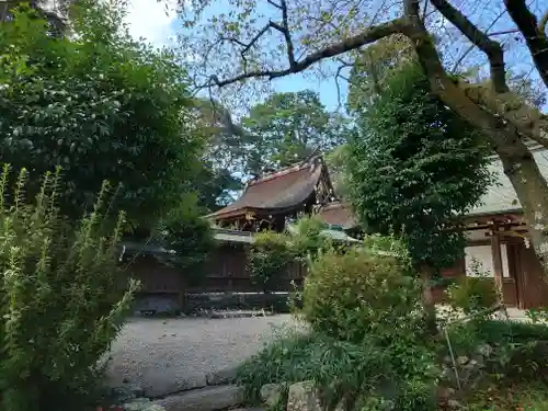 伊太祁曽神社の本殿・本堂