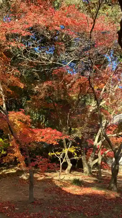 曹源寺(岡山県)