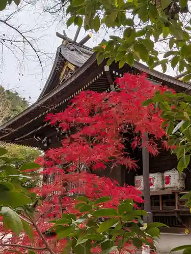熊野神社(東京都)
