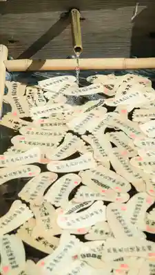 賀茂御祖神社（下鴨神社）(京都府)