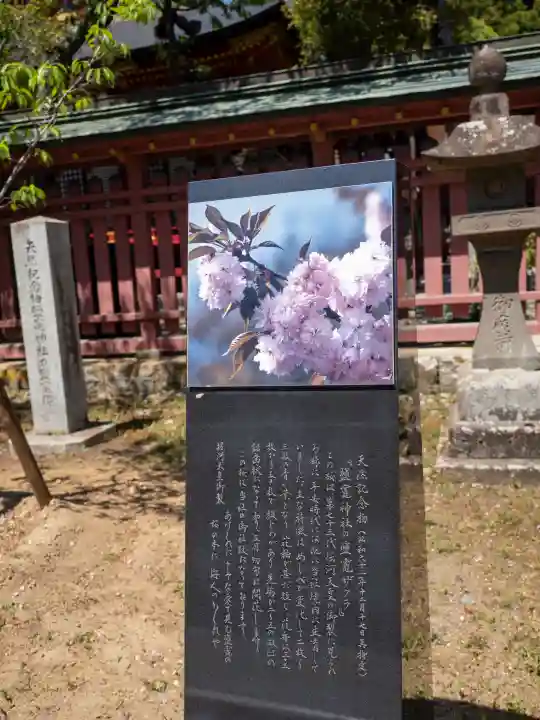 志波彦神社・鹽竈神社の{uncategorized: "未分類", other: "その他", undefined: "問題あり", building: "その他建物", grave: "お墓", sacred_gate: "鳥居", guardian: "狛犬", statue: "像", buddha: "仏像", history: "歴史", nature: "自然", garden: "庭園", animal: "動物", pagoda: "塔", temizu: "手水舎", mountain_gate: "山門・神門", sanctuary: "本殿・本堂", subordinate: "末社・摂社", art: "芸術", scenery: "景色", jizo: "地蔵", ema: "絵馬", goshuin: "御朱印", omikuji: "おみくじ", items: "授与品その他", amulet: "お守り", goshuincho: "御朱印帳", eats: "食事", festival: "お祭り", votive_dance: "神楽", shichigosan: "七五三参", wedding: "結婚式", experience: "体験その他", initially: "初詣", around: "周辺", anti_infection: "感染症対策"}