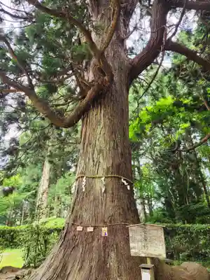 牛尾神社の自然
