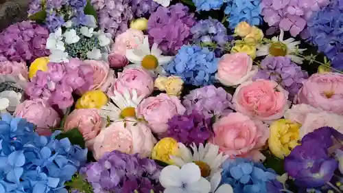 発寒神社(北海道)