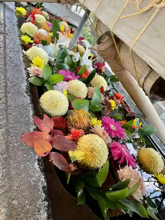 鳩森八幡神社の手水舎