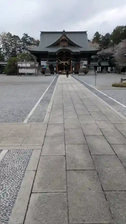 白鷺神社の{uncategorized: "未分類", other: "その他", undefined: "問題あり", building: "その他建物", grave: "お墓", sacred_gate: "鳥居", guardian: "狛犬", statue: "像", buddha: "仏像", history: "歴史", nature: "自然", garden: "庭園", animal: "動物", pagoda: "塔", temizu: "手水舎", mountain_gate: "山門・神門", sanctuary: "本殿・本堂", subordinate: "末社・摂社", art: "芸術", scenery: "景色", jizo: "地蔵", ema: "絵馬", goshuin: "御朱印", omikuji: "おみくじ", items: "授与品その他", amulet: "お守り", goshuincho: "御朱印帳", eats: "食事", festival: "お祭り", votive_dance: "神楽", shichigosan: "七五三参", wedding: "結婚式", experience: "体験その他", initially: "初詣", around: "周辺", anti_infection: "感染症対策"}