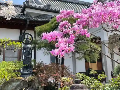 少林寺(埼玉県)