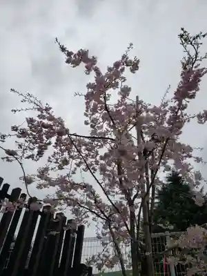 駒込妙義神社(東京都)