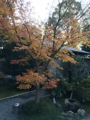 高台寺（高台寿聖禅寺・高臺寺）(京都府)