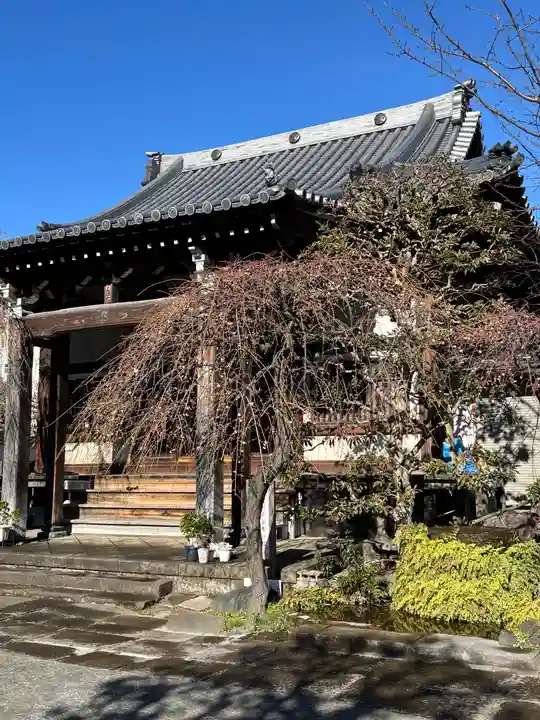 清林寺(東京都)