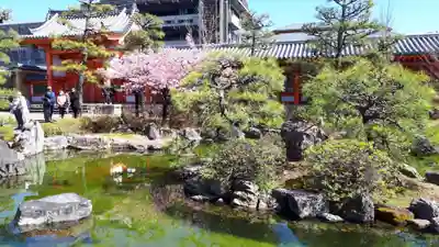 蓮華王院（三十三間堂）(京都府)