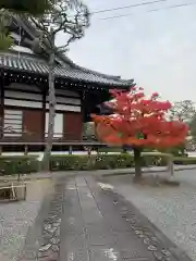 阿弥陀寺の建物その他