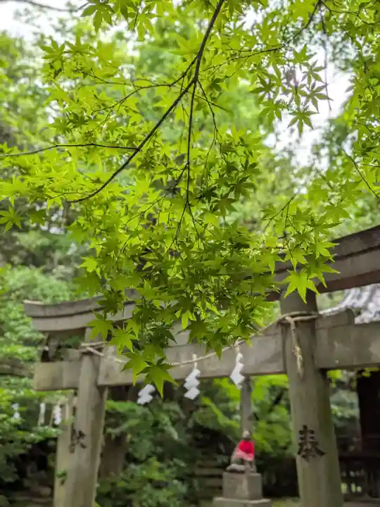赤坂氷川神社(東京都)