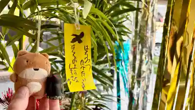 くまくま神社(導きの社 熊野町熊野神社)(東京都)