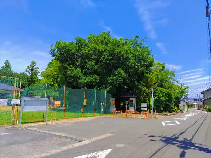 大野神社(浅井町大野)(愛知県)