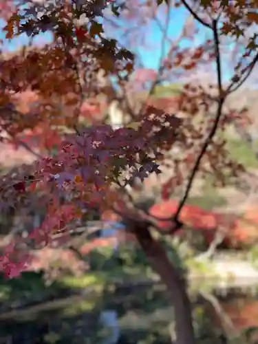 鶴岡八幡宮の自然